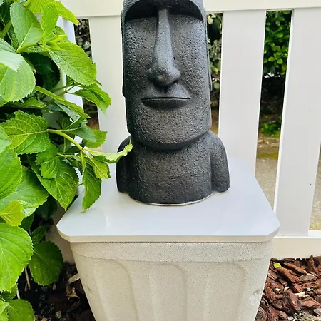 Διαμέρισμα T2 4 Personnes Rdc 50m Et Corniche Saint-Hilaire-de-Riez