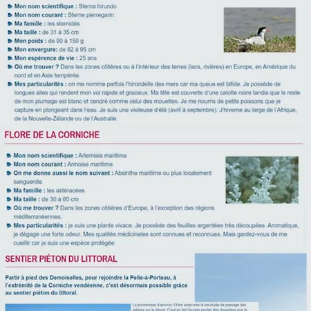 Апартаменты T2 4 Personnes Rdc 50m Et Corniche *