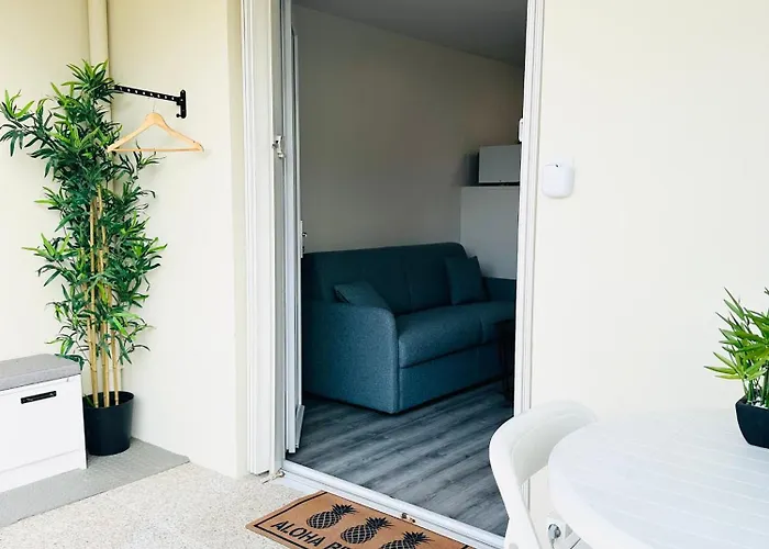 T2 4 Personnes Rdc 50m Et Corniche