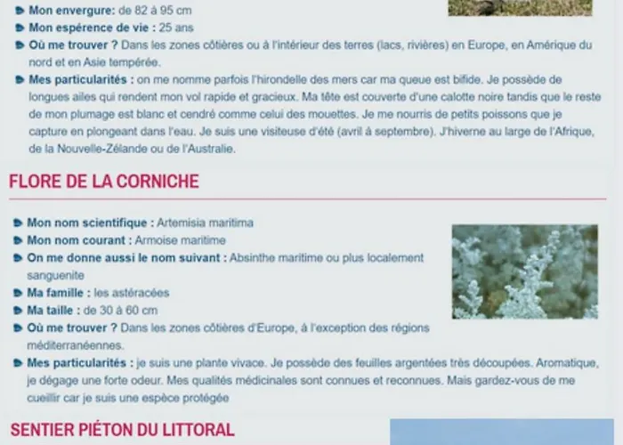 Apartament T2 4 Personnes Rdc 50m Et Corniche *